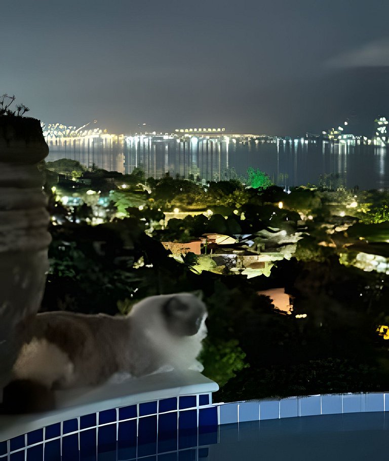 conforto, luxo, família e melhor custo/benefício