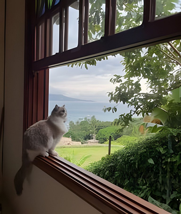 conforto, luxo, família e melhor custo/benefício