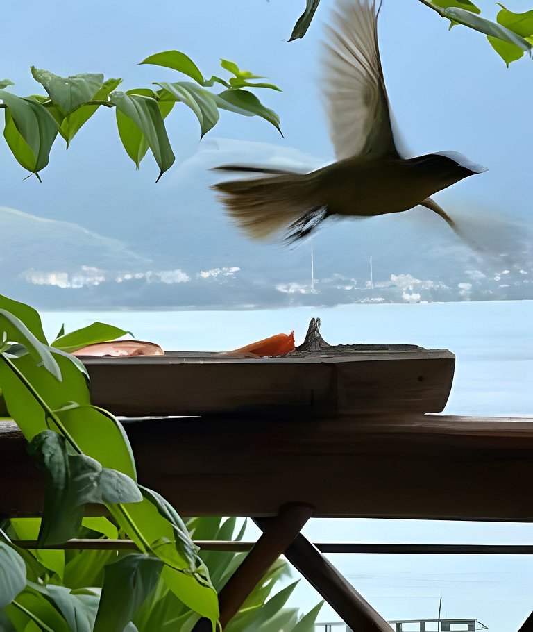 conforto, luxo, família e melhor custo/benefício