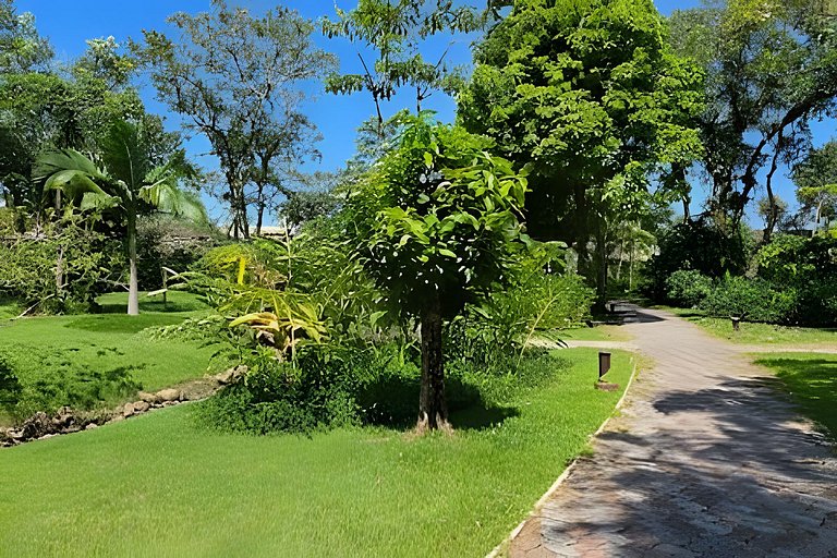 Casa de Luxo - Praia da Baleia
